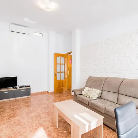 Alegria Id39 Торевьиа