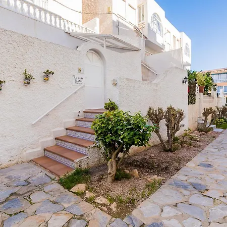 Alegria Id39 * تورّيفيِخا